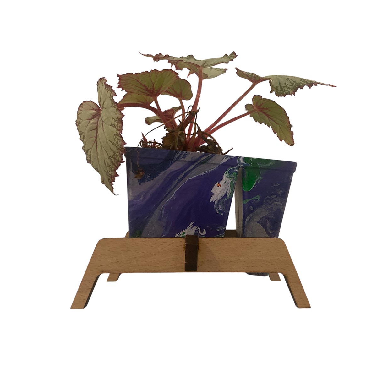 Plantenwand - en bureau scheidingswand - Lokaal Rotterdams hout